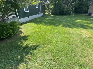 Tammy W.'s Yard Cutting service result