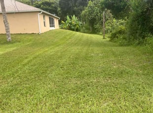 Larry H.'s Lawn Care service result