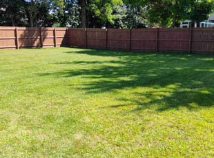 Todd S.'s Lawn Mowing service result