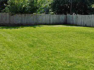 Frank T.'s Yard Cutting service result