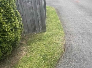 Katherine C.'s Grass Cutting service result