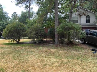 Bush Trimming by Austin Farley for Anastasios P. in Spring, TX