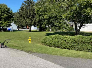 Tiffany W.'s Lawn Mowing service result