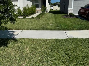 Fredita W.'s Lawn Mowing service result