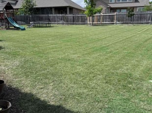 Zach S.'s Lawn Care service result