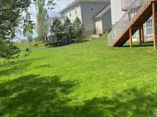 Denise H.'s Lawn Mowing service result