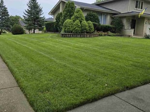 Torris F.'s Lawn Mowing Service service result