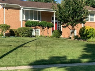 Bush Trimming by Jose M Rodriguez for Clay W. in Alexandria, VA