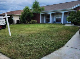 Andrea B.'s Lawn Mowing service result