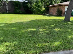Tricia O.'s Lawn Care service result