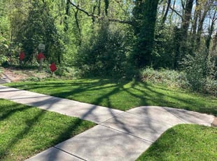 Robert G.'s Lawn Mowing service result