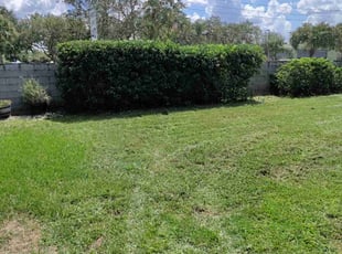 Bush Trimming by KNOLLY EDWARDS for Paul L. in Winter Park, FL