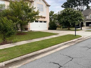 Michelle P.'s Lawn Care service result