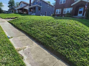 Grace W.'s Grass Cutting service result