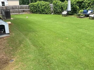 Nadia B.'s Lawn Care service result