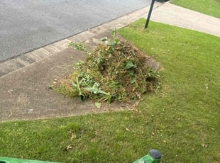 Weeding by Travis Garrett for Joshua S. in Marietta, GA