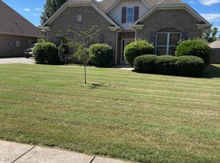Anita G.'s Lawn Mowing Service service result