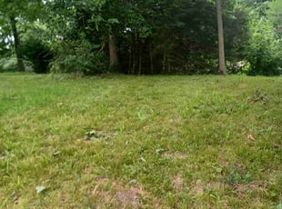 Cleanups by Jeffery Hartupee for Patricia F. in Kansas City, MO