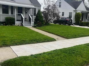 Alexis T.'s Lawn Mowing service result