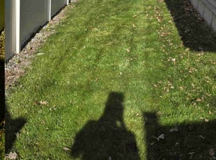 Miran W.'s Lawn Mowing service result