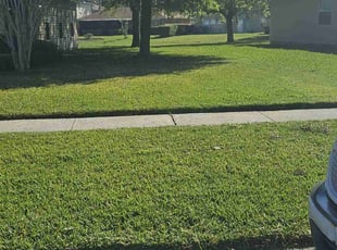 Linda C E.'s Lawn Care service result