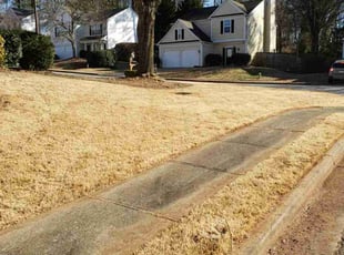 Cleanups by Peter Coke for Michael B. in Marietta, GA
