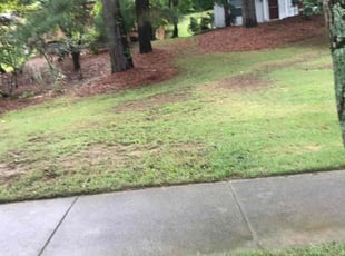 Weeding by Brandon Medlin for Leigh S. in Raleigh, NC