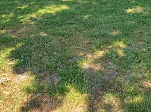 Cleanups by Rodney Ogburn for Randi D. in Chesapeake, VA