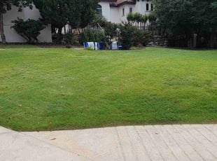 Symone E.'s Lawn Mowing Service service result