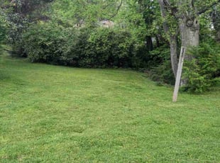 Debbie S.'s Lawn Mowing Service service result