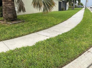 Annette F.'s Lawn Maintenance service result