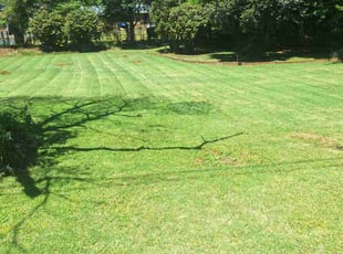 Ron E.'s Lawn Mowing service result