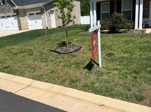 Dillon G.'s Lawn Mowing Service service result