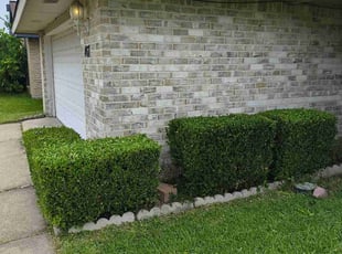 Bush Trimming by Preston Simmons for Jon W. in Garland, TX