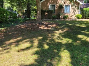 Cleanups by Dominique Bedford for Johnny B. in Marietta, GA