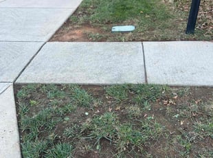 Leaf Removal by Marco Antenor for Leeann C. in Charlotte, NC