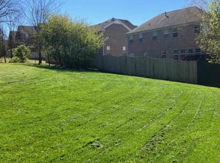 Jennifer B.'s Lawn Service service result
