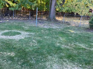 Cleanups by Jhon Reyes for Lorenzo M. in Yeadon, PA