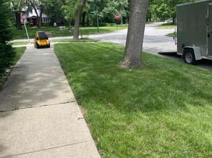 Micayla B.'s Lawn Mowing service result