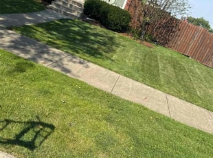 Barbara K.'s Yard Cutting service result