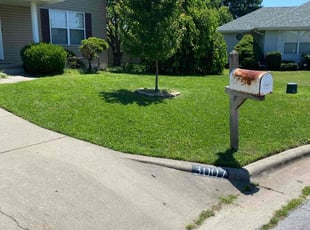 Linda B.'s Lawn Mowing service result