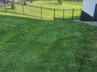 Jamelle P.'s Lawn Service service result