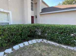 Bush Trimming by Ramon Taguja for Phillip L. in Valrico, FL
