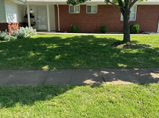 JJoel B.'s Lawn Mowing service result