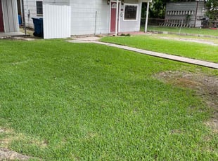 Angie M.'s Lawn Mowing Service service result
