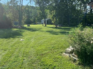 Zau S.'s Lawn Mowing service result