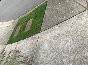 Laura H.'s Yard Cutting service result