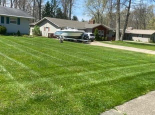 Eleni K.'s Yard Cutting service result