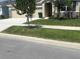 Robbie P.'s Lawn Mowing service result