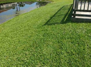 April W.'s Lawn Mowing Service service result